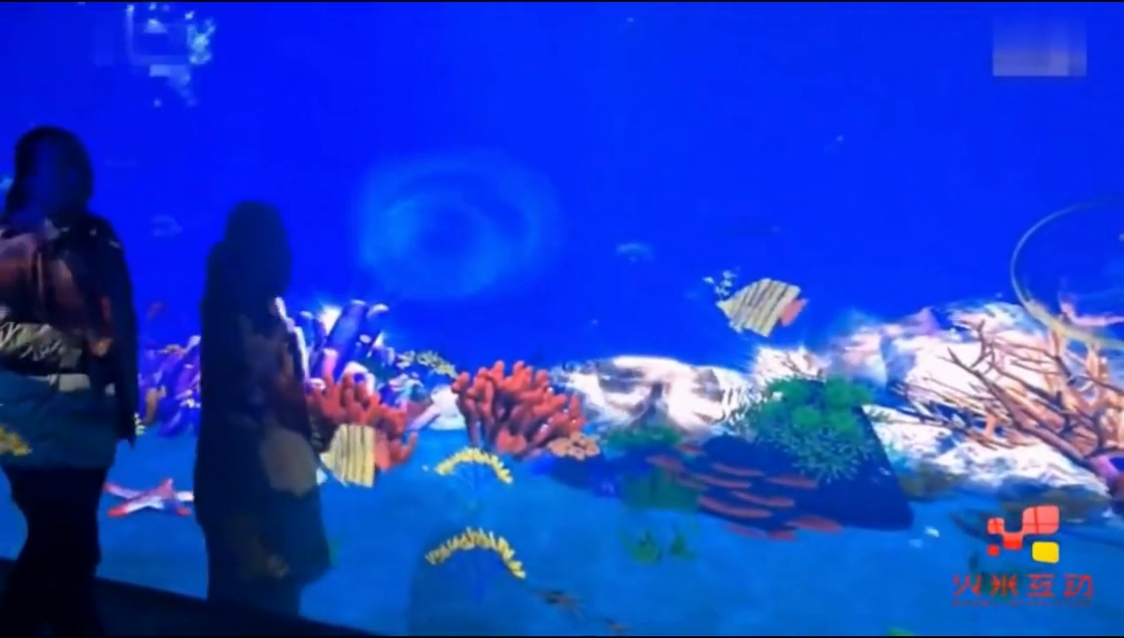 山东海洋馆画画水族馆