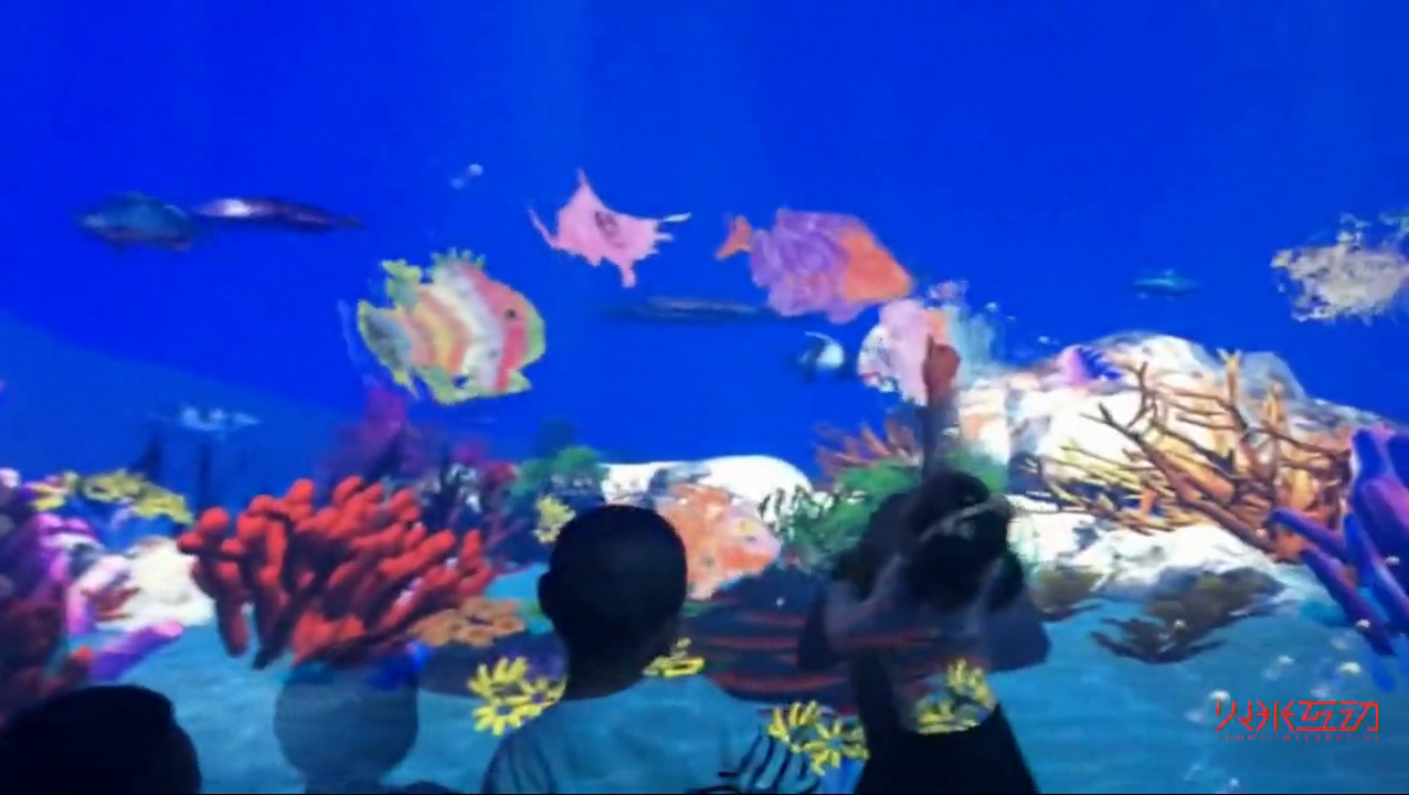 马良画画水族馆