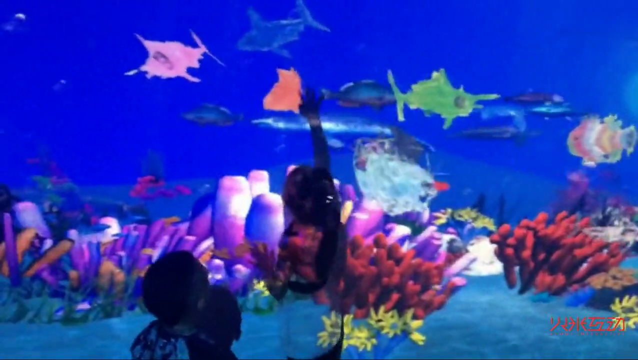 马良画画水族馆