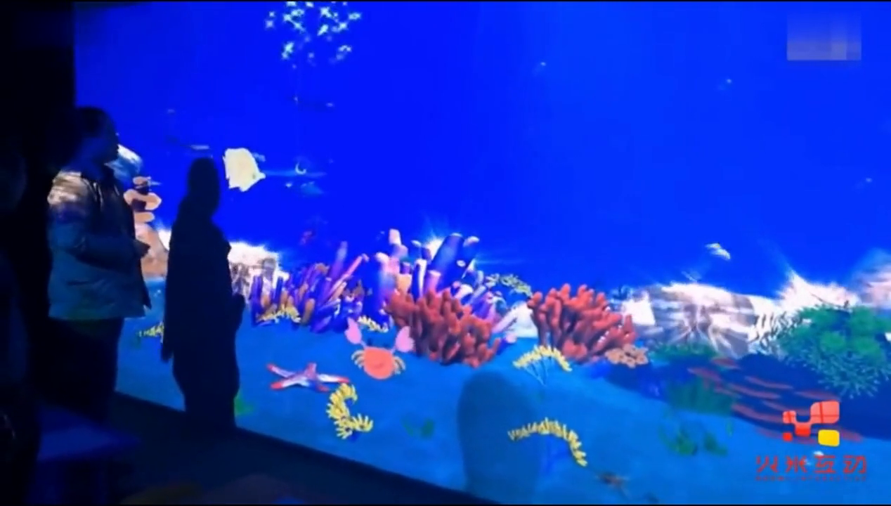 山东海洋馆画画水族馆