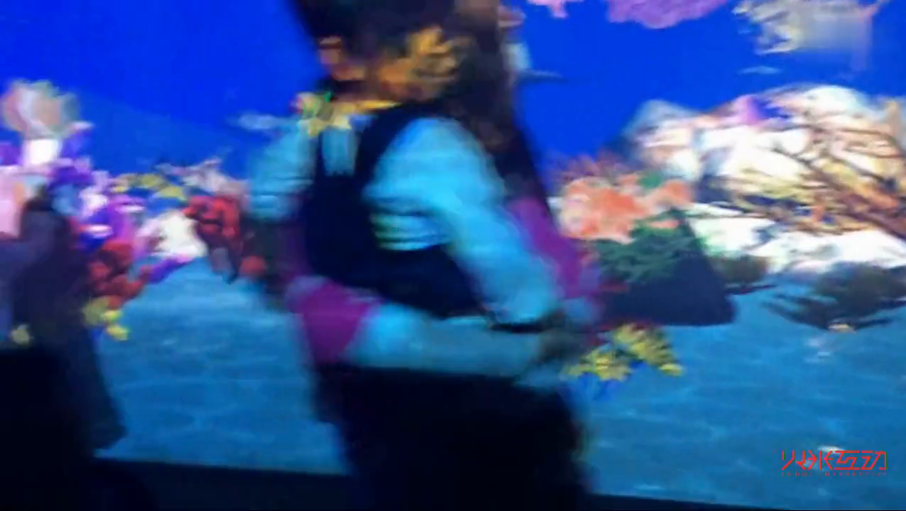 马良画画水族馆
