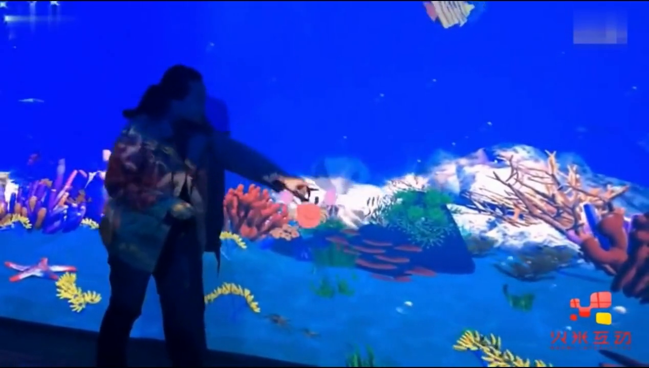山东海洋馆画画水族馆